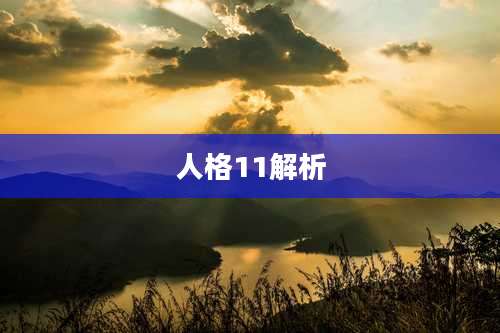 人格11解析