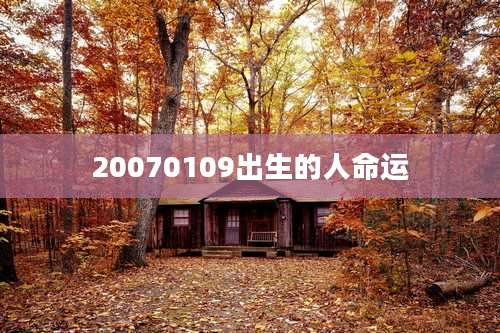 20070109出生的人命运