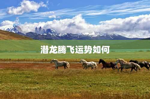 潜龙腾飞运势如何