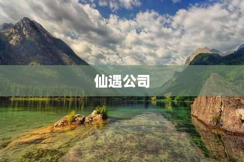 仙遇公司