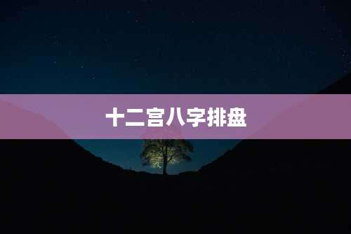 十二宫八字排盘
