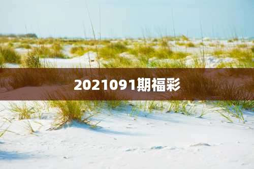 2021091期福彩