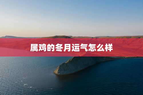 属鸡的冬月运气怎么样