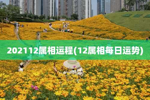 202112属相运程(12属相每日运势)