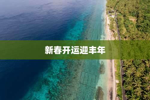 新春开运迎丰年