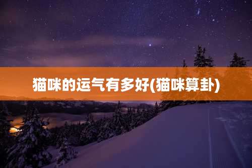 猫咪的运气有多好(猫咪算卦)