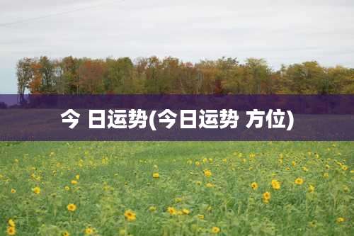 今 日运势(今日运势 方位)