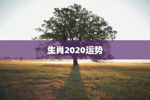 生肖2020运势