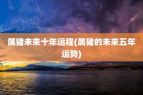 属猪未来十年运程(属猪的未来五年运势)