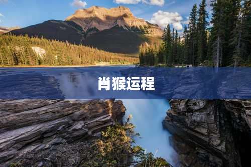 肖猴运程
