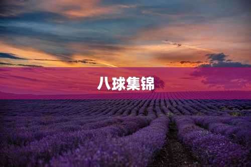 八球集锦