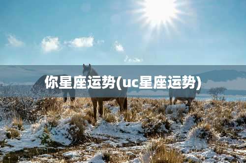 你星座运势(uc星座运势)