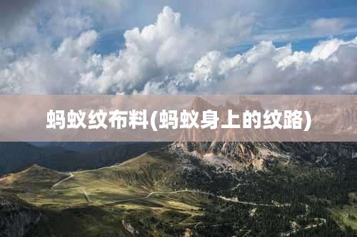 蚂蚁纹布料(蚂蚁身上的纹路)