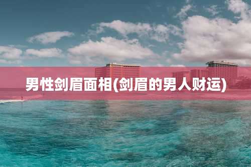 男性剑眉面相(剑眉的男人财运)