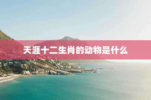 天涯十二生肖的动物是什么