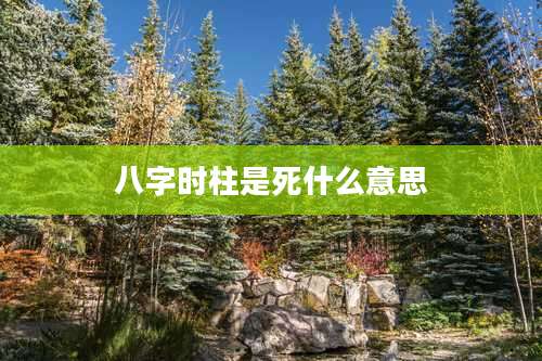 八字时柱是死什么意思