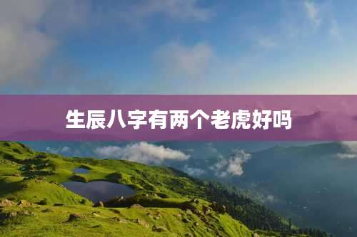 生辰八字有两个老虎好吗