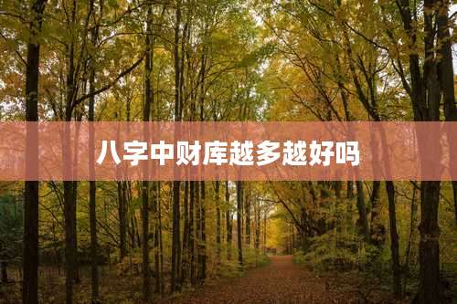 八字中财库越多越好吗