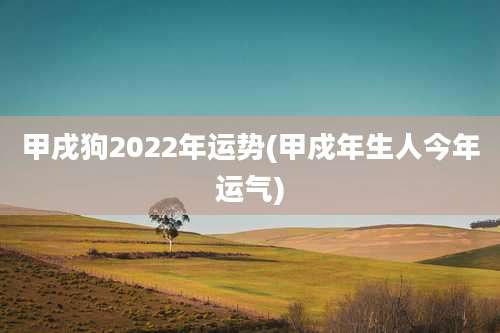 甲戌狗2022年运势(甲戍年生人今年运气)