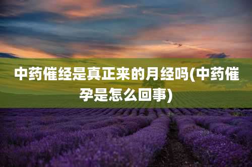 中药催经是真正来的月经吗(中药催孕是怎么回事)