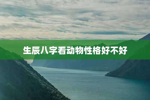 生辰八字看动物性格好不好