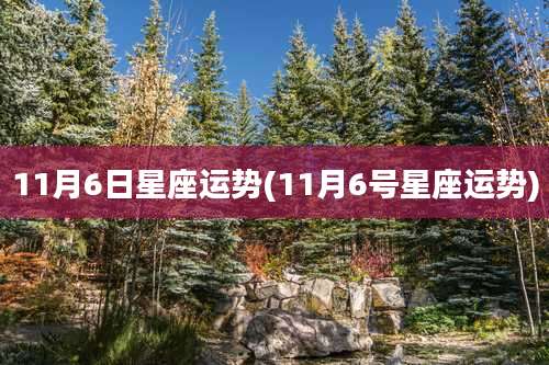 11月6日星座运势(11月6号星座运势)