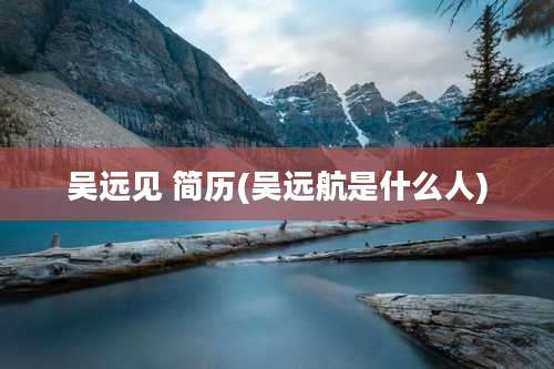 吴远见 简历(吴远航是什么人)