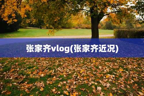 张家齐vlog(张家齐近况)