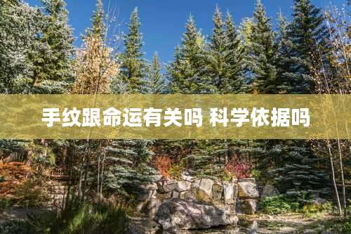 手纹跟命运有关吗 科学依据吗