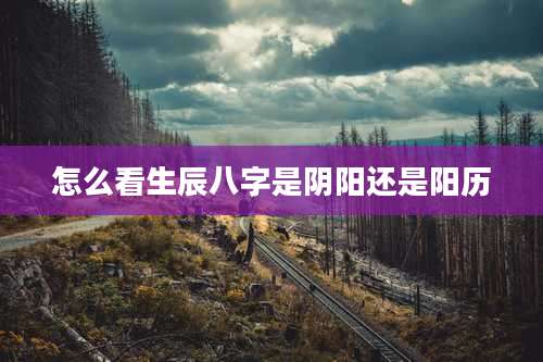 怎么看生辰八字是阴阳还是阳历