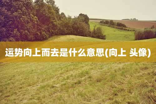 运势向上而去是什么意思(向上 头像)