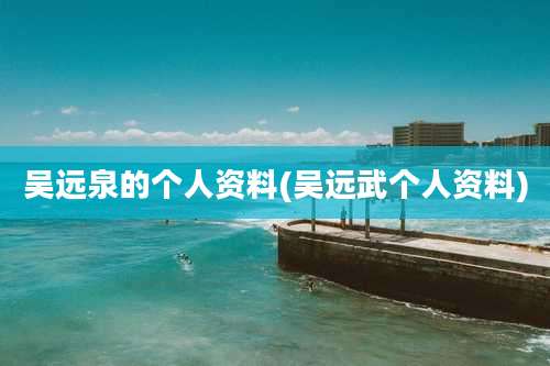 吴远泉的个人资料(吴远武个人资料)