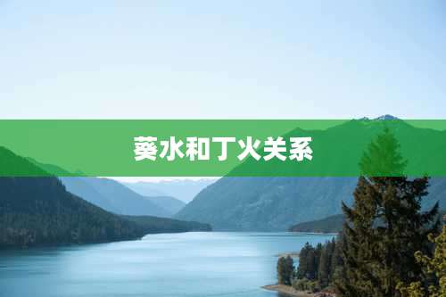 葵水和丁火关系