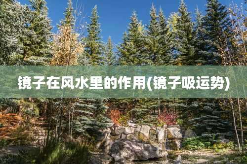 镜子在风水里的作用(镜子吸运势)