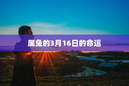 属兔的3月16日的命运