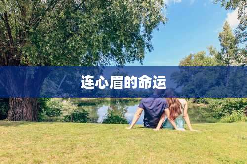 连心眉的命运