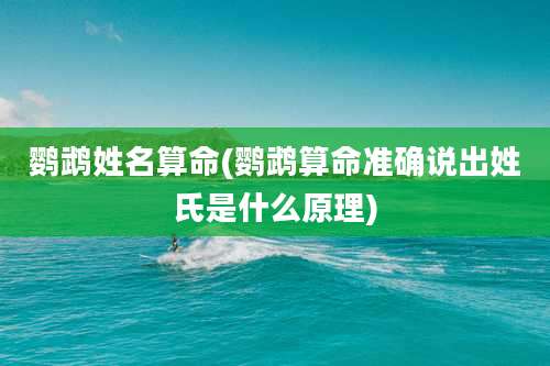 鹦鹉姓名算命(鹦鹉算命准确说出姓氏是什么原理)