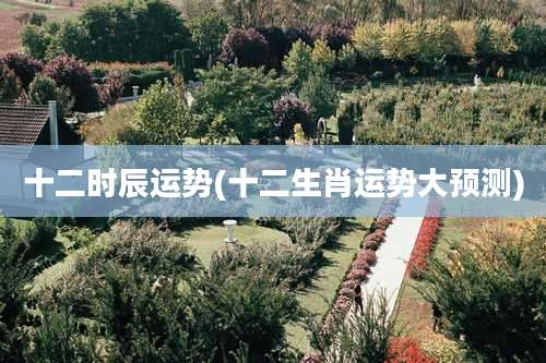 十二时辰运势(十二生肖运势大预测)