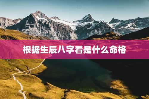 根据生辰八字看是什么命格