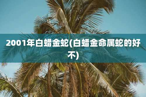2001年白蜡金蛇(白蜡金命属蛇的好不)