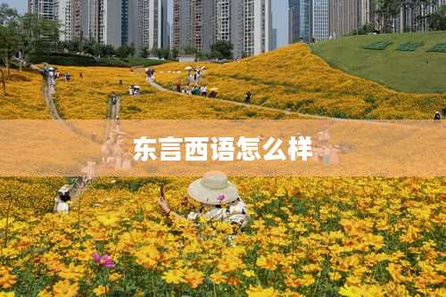 东言西语怎么样