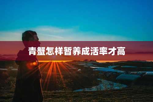 青蟹怎样暂养成活率才高