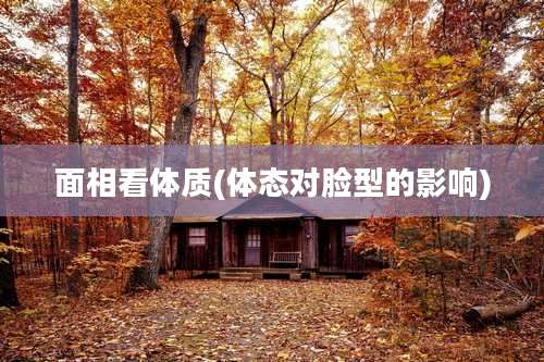 面相看体质(体态对脸型的影响)