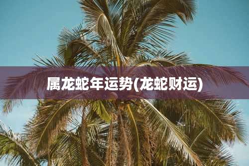 属龙蛇年运势(龙蛇财运)