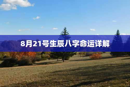 8月21号生辰八字命运详解