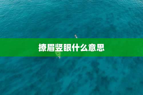 撩眉竖眼什么意思