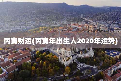 丙寅财运(丙寅年出生人2020年运势)