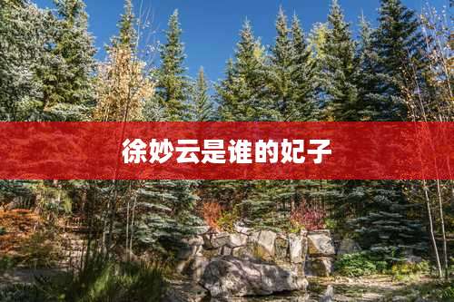 徐妙云是谁的妃子