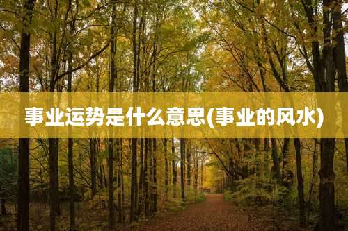 事业运势是什么意思(事业的风水)