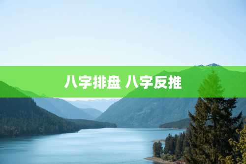 八字排盘 八字反推